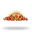 Wild Burning Wins: 5 lines logo