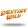 Destiny Wild logo