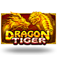Dragon Tiger logo