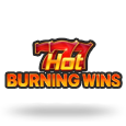 Hot Burning Wins logo