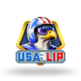 USA Flip logo