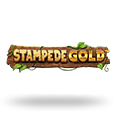 Stampede Gold logo
