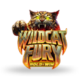 Wildcat Fury logo
