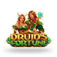 Druids Fortune logo