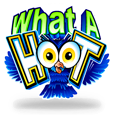 What a Hoot logo